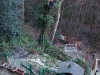 Tree surgeon