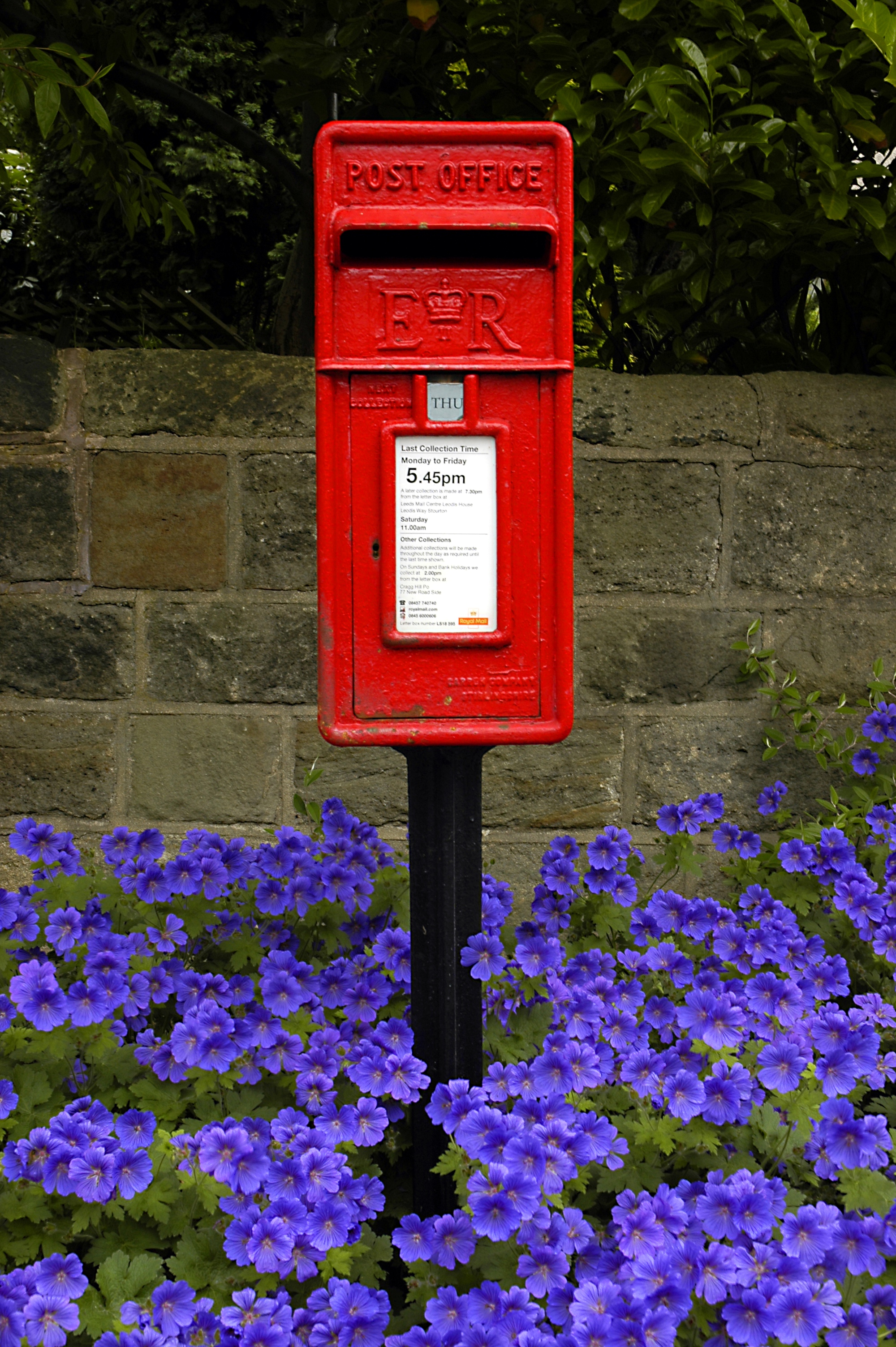 photo of an English post box in amongst blue flowers