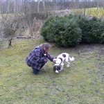 Lily's first walk