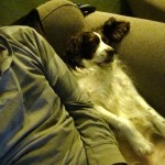 Lily