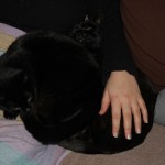 Carla and boron
