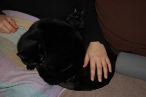 Carla and boron
