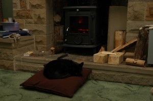 New stove