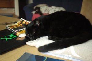Carla on my desk
