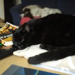 Carla on my desk