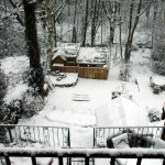 Garden snow