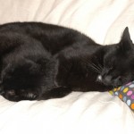 Carla and Carbon