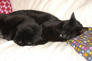 Carla and Carbon