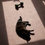 Carla in the sun