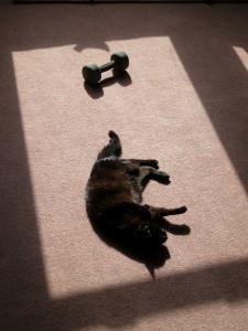 Carla in the sun