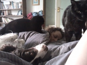 Lily, Carla, Boron and Louisa in bed