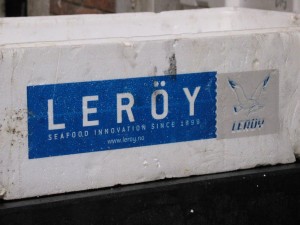 Leroy in Venice