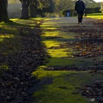 Armley Park Autumn